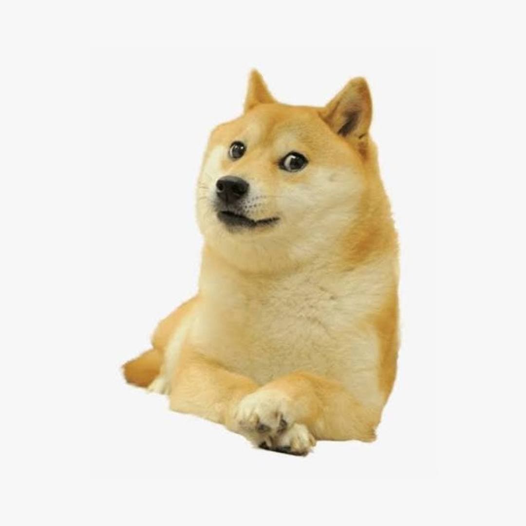 The world record dog mascot